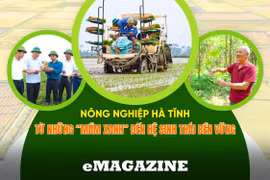 Nông nghiệp Hà Tĩnh: từ những “mầm xanh” đến hệ sinh thái bền vững