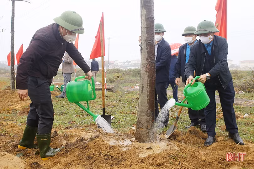 Liên đoàn Lao động Hà Tĩnh tổ chức Tết trồng cây đời đời nhớ ơn Bác Hồ” 
