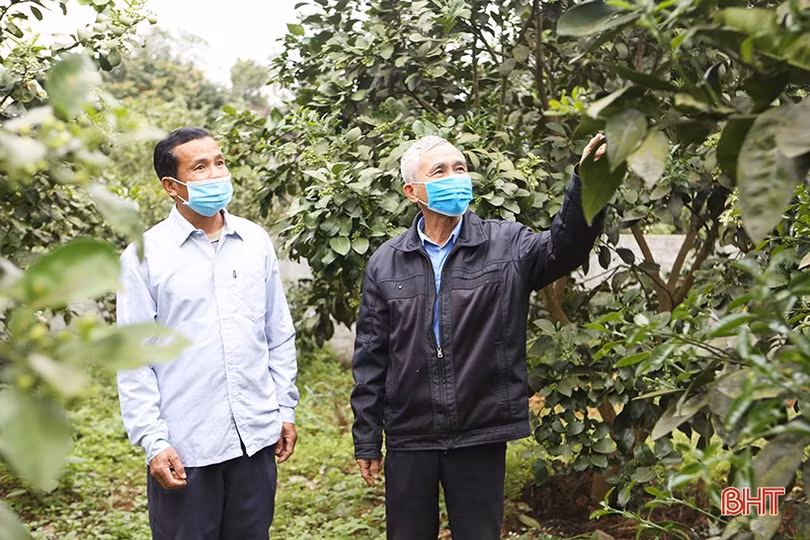 Ông bí thư chi bộ tâm huyết xây dựng khu dân cư nông thôn mới kiểu mẫu ở Hà Tĩnh