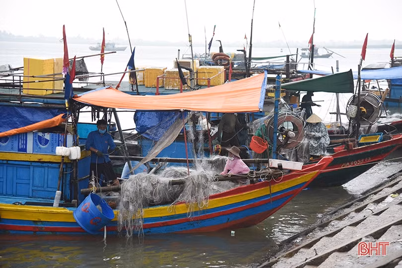 Thời tiết bất thuận, thuyền cá ngư dân Lộc Hà nằm bờ sau tết