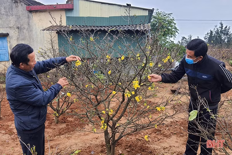 Dân vận khéo “mở đường” để xã vùng biển Hà Tĩnh vững bước xây dựng NTM nâng cao