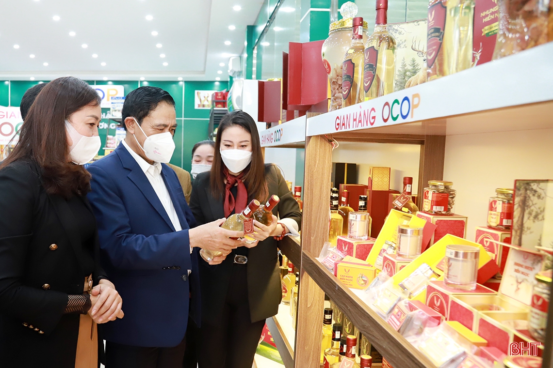 Hương Sơn cần khai thác tốt thế mạnh để phát triển kinh tế vườn đồi, du lịch sinh thái