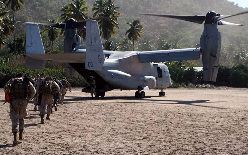 chiem nguong suc manh chim ung bien v 22 osprey