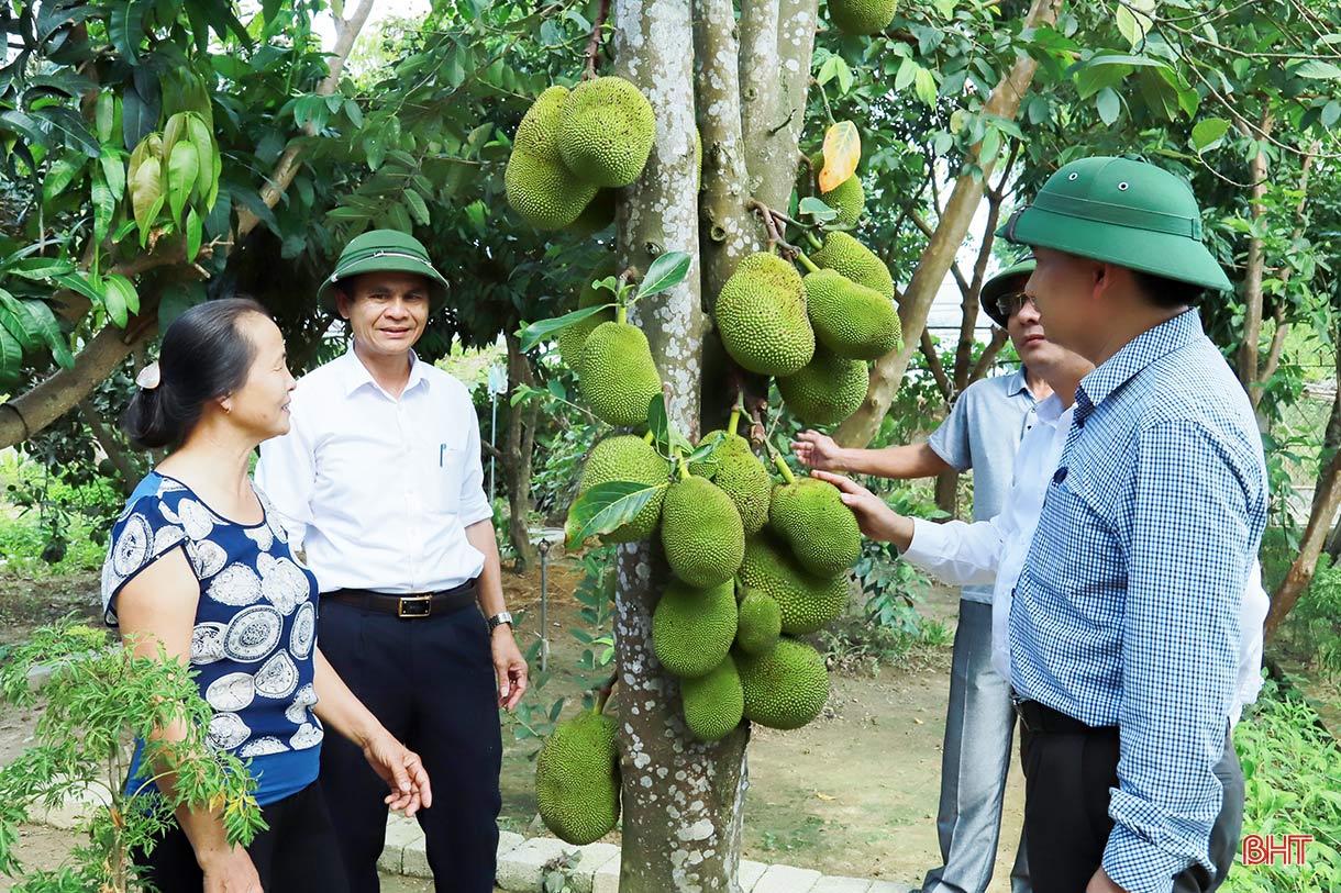Đức Thọ vững bước trên hành trình xây dựng huyện nông thôn mới nâng cao