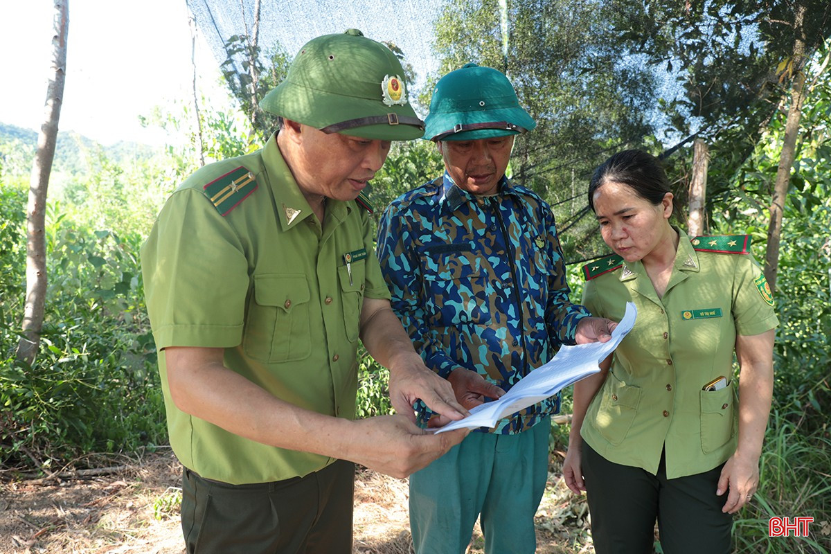 bqbht_br_chay-rung-o-ha-tinh-6.jpg