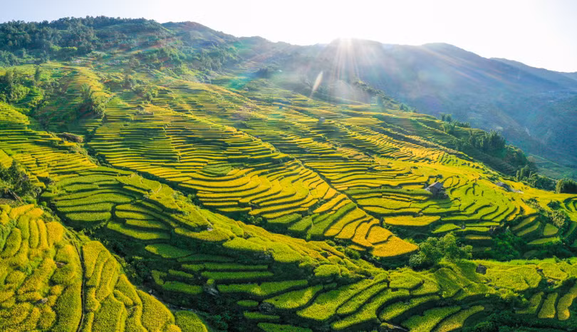“Mùa vàng” Y Tý nhìn từ camera bay