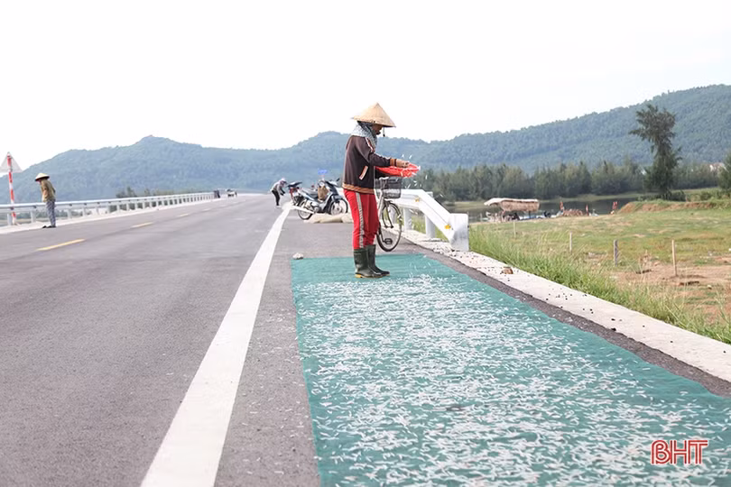 Ẩn hoạ tai nạn giao thông khi phơi hải sản trên tuyến đường ven biển Hà Tĩnh