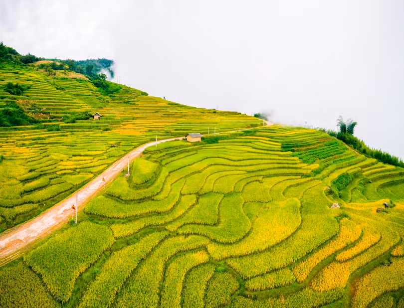 “Mùa vàng” Y Tý nhìn từ camera bay