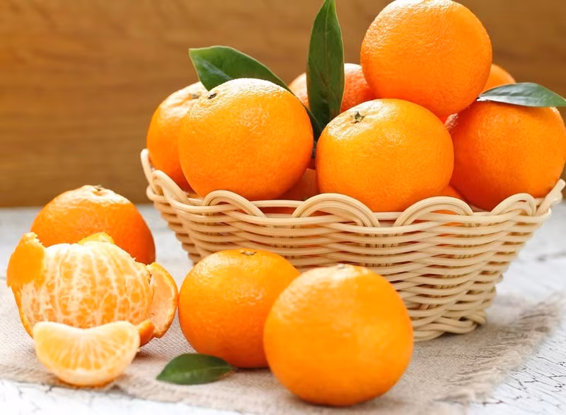Mẹo lưu trữ rau, củ, quả tươi được lâu trong mùa dịch