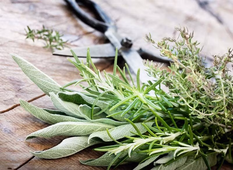 Mẹo lưu trữ rau, củ, quả tươi được lâu trong mùa dịch
