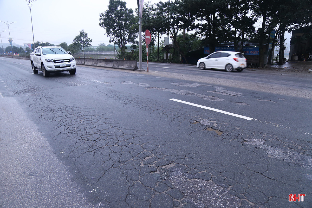 dau-lieu-a1.jpg
