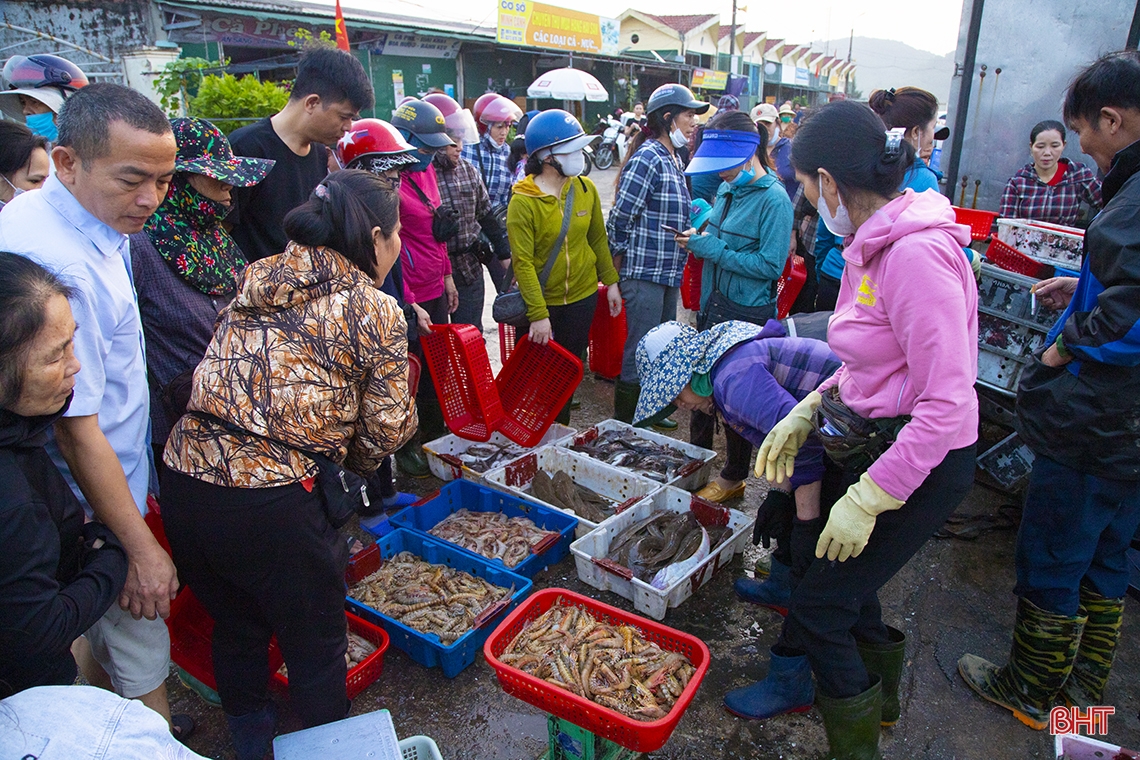Ngư dân Hà Tĩnh nô nức bám biển, cung ứng hải sản tươi ngon dịp lễ