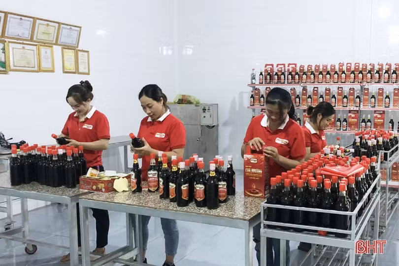 Agribank Hà Tĩnh II “đỡ đầu” nông dân làm giàu từ nông nghiệp