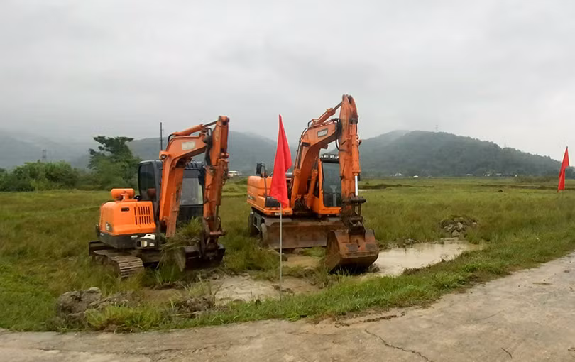 Xây dựng mô hình 10 ha trồng lúa hữu cơ kết hợp nuôi rươi, cáy ven sông Lam ở Nghi Xuân