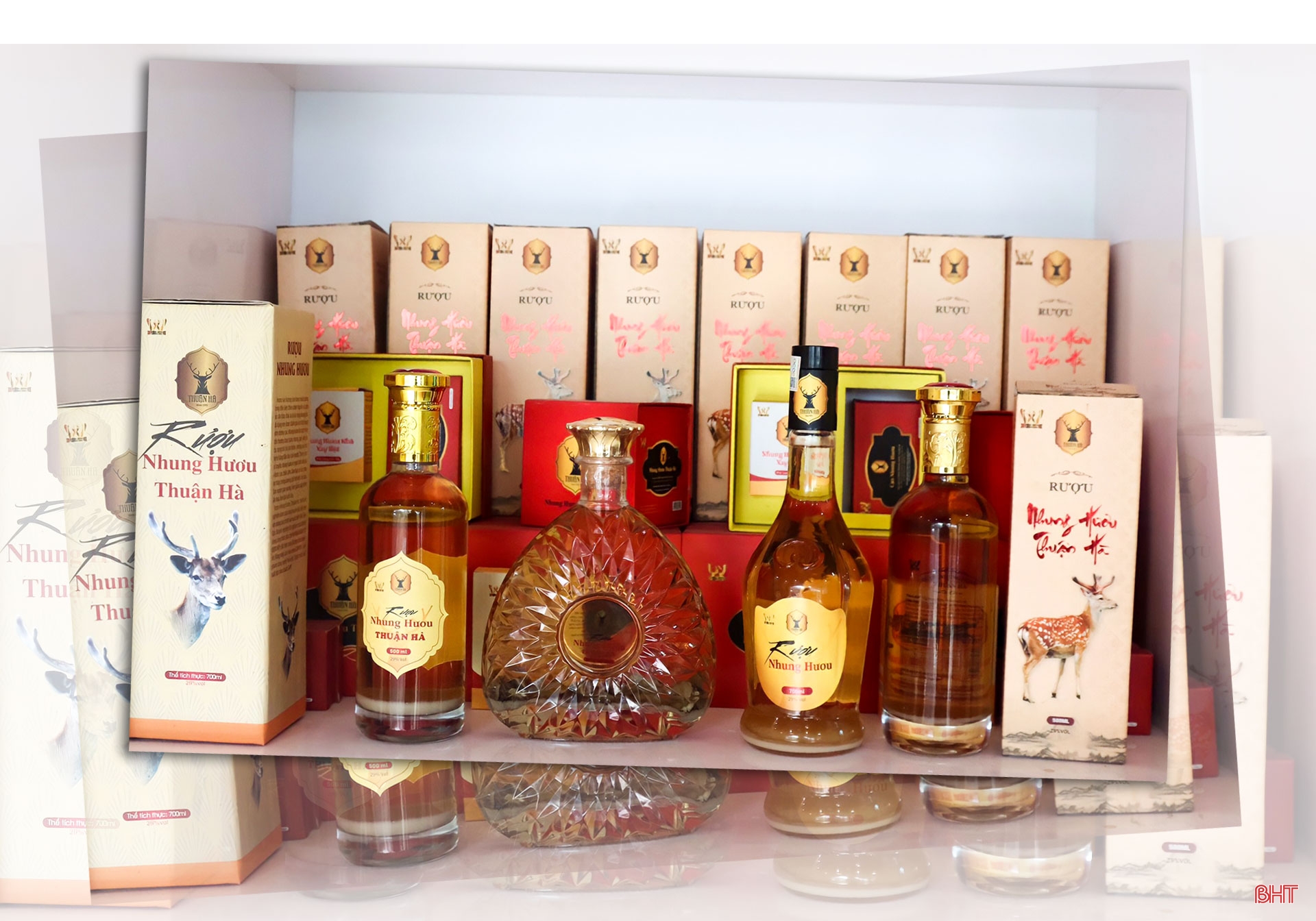 Chuyện “Nông dân Việt Nam xuất sắc” làm giàu từ hươu sao ở Hà Tĩnh