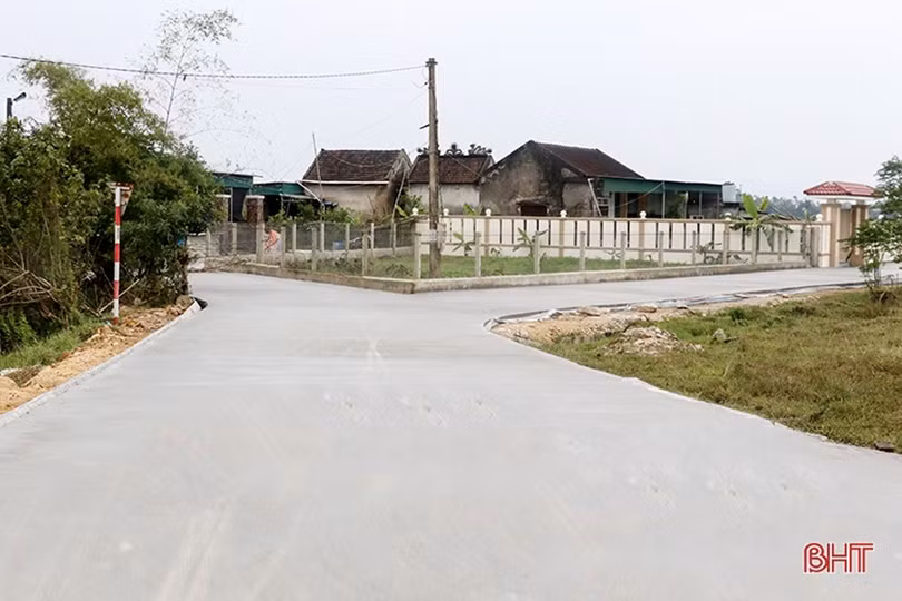 135d5095116t71898l0.jpg