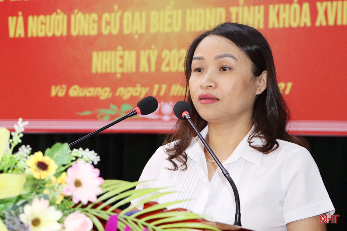 Quyết tâm cao nhất để thực hiện lời hứa với cử tri Hà Tĩnh