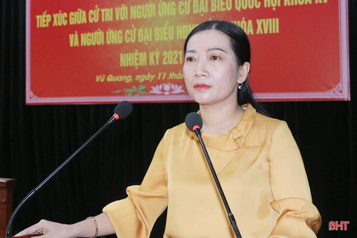 Quyết tâm cao nhất để thực hiện lời hứa với cử tri Hà Tĩnh