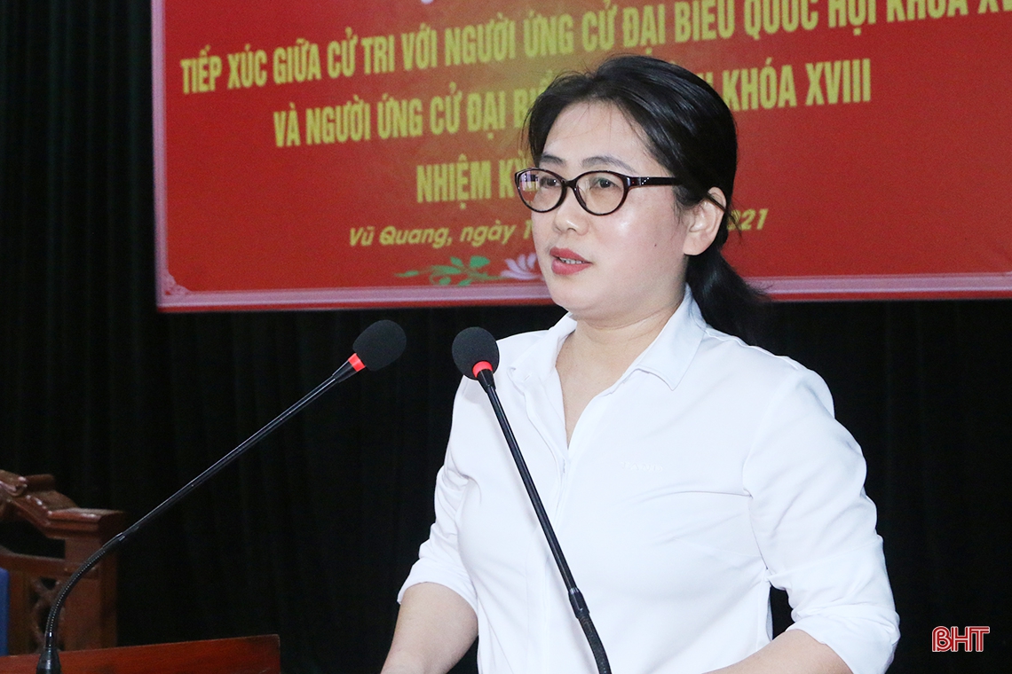 Quyết tâm cao nhất để thực hiện lời hứa với cử tri Hà Tĩnh