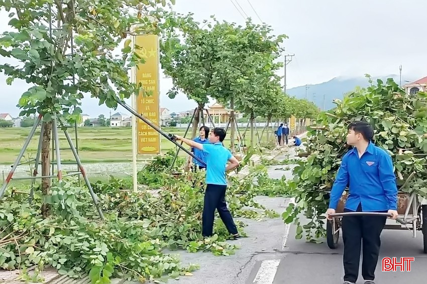 Ngoài ra, lực lượng tham gia lao động cũng đã thu dọn, cắt tỉa các cành lá, cây xanh đổ gãy do bão ở quanh khu vực bãi biển để chỉnh trang cảnh quan môi trường, các tuyến đường chính, các điểm sinh hoạt cộng đồng trên địa bàn các xã.
