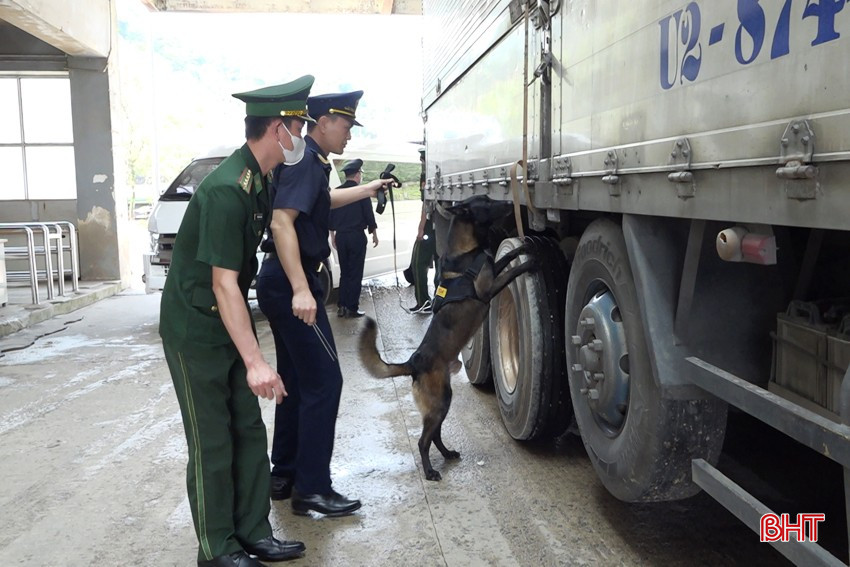 231.jpg