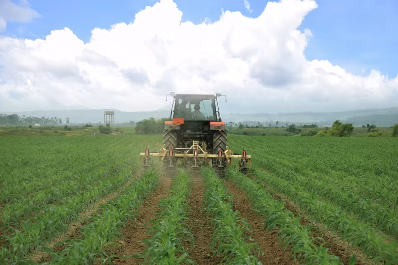 Đàn bò 8.000 con đầu tiên tại tổ hợp trang trại của Vinamilk ở Lào sẽ cho sữa vào đầu năm 2022
