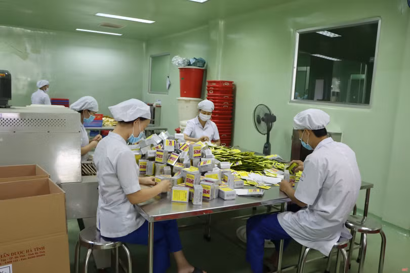 Doanh nghiệp Hà Tĩnh cảnh giác cao với dịch, “chạy nước rút” sản xuất kinh doanh