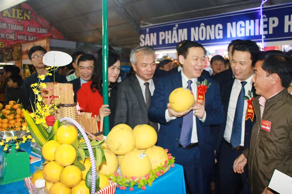 khai mac le hoi cam va cac san pham nong nghiep ha tinh