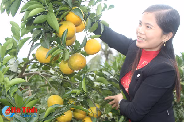 cam sach vu quang san sang dua hoi
