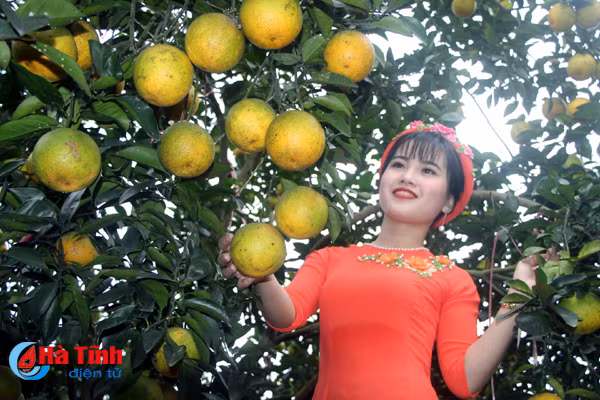 cam sach vu quang san sang dua hoi