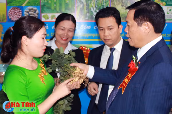 khai mac le hoi cam va cac san pham nong nghiep ha tinh