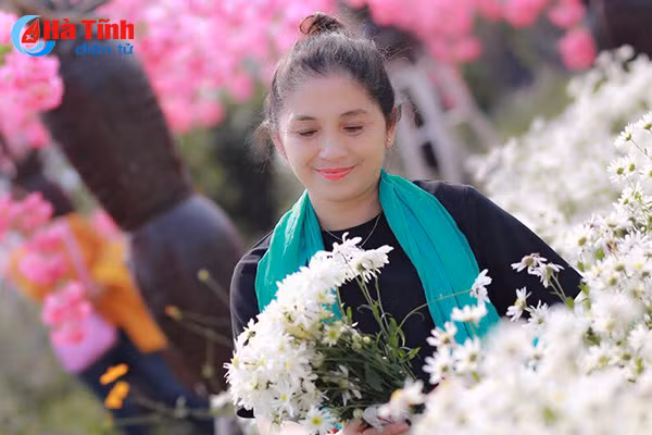 nguoi ha tinh xon xao cho don mua cuc hoa mi