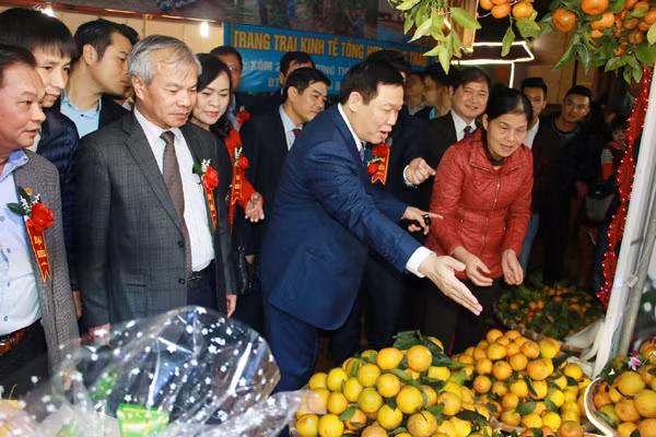 khai mac le hoi cam va cac san pham nong nghiep ha tinh