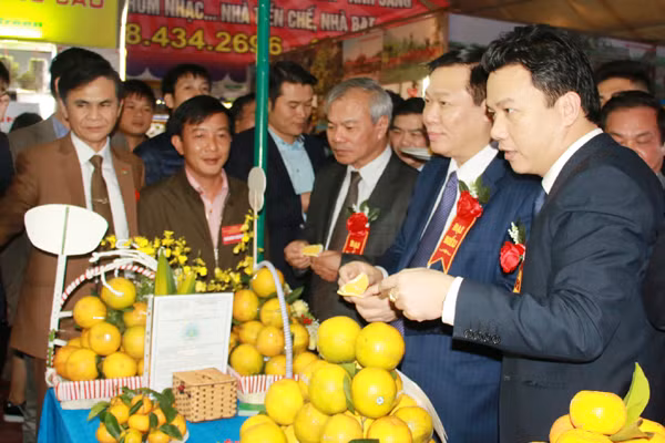 khai mac le hoi cam va cac san pham nong nghiep ha tinh