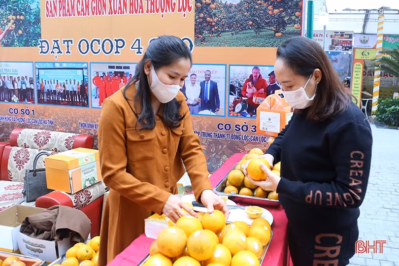 Thỏa sức sắm tết tại Hội chợ Sản phẩm OCOP và đặc sản Hà Tĩnh