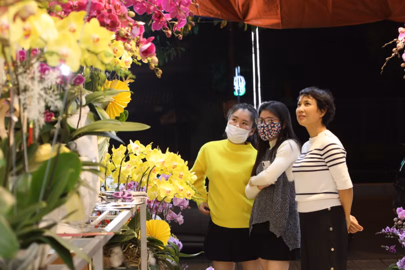 Muôn sắc lan hồ điệp “xuống phố” đón tết Nhâm Dần