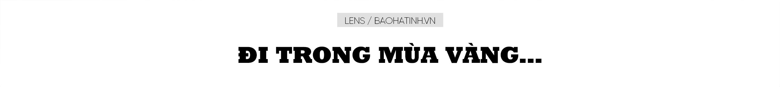 Đi trong mùa vàng…