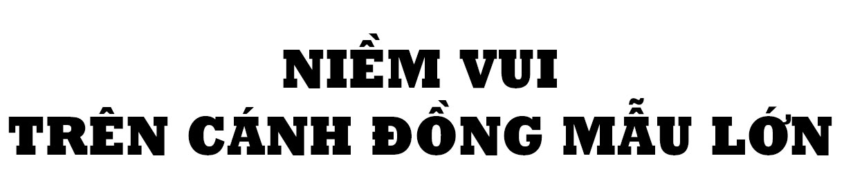 Đi trong mùa vàng…