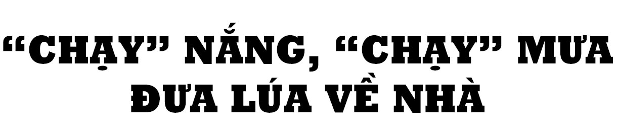 Đi trong mùa vàng…