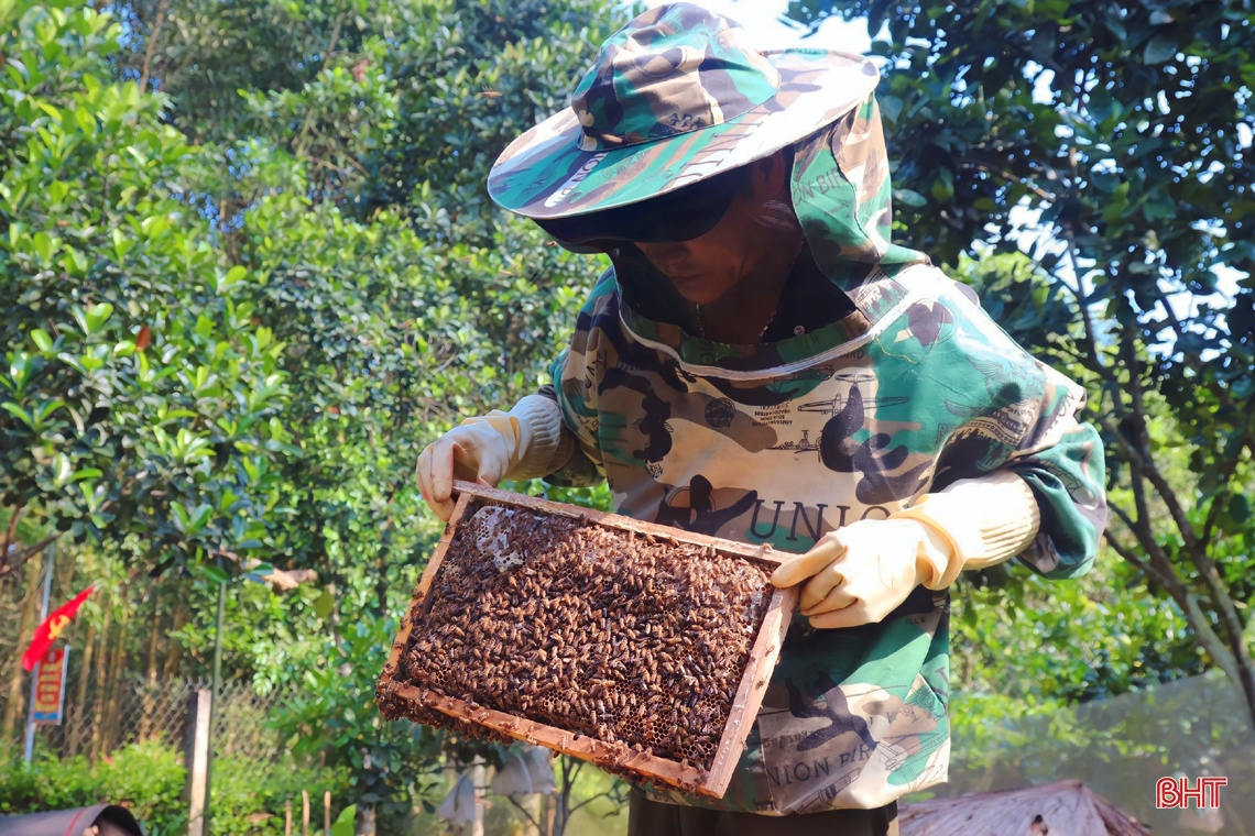 Vũ Quang vào mùa gom mật ngọt