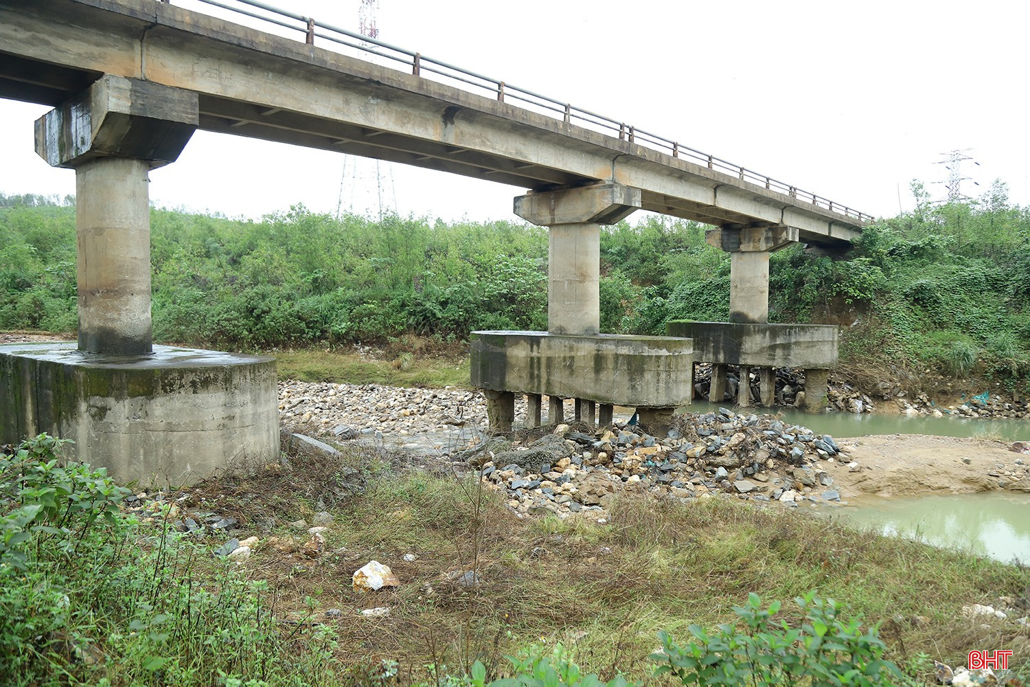 bqbht_br_cau-con-gao-2.jpg