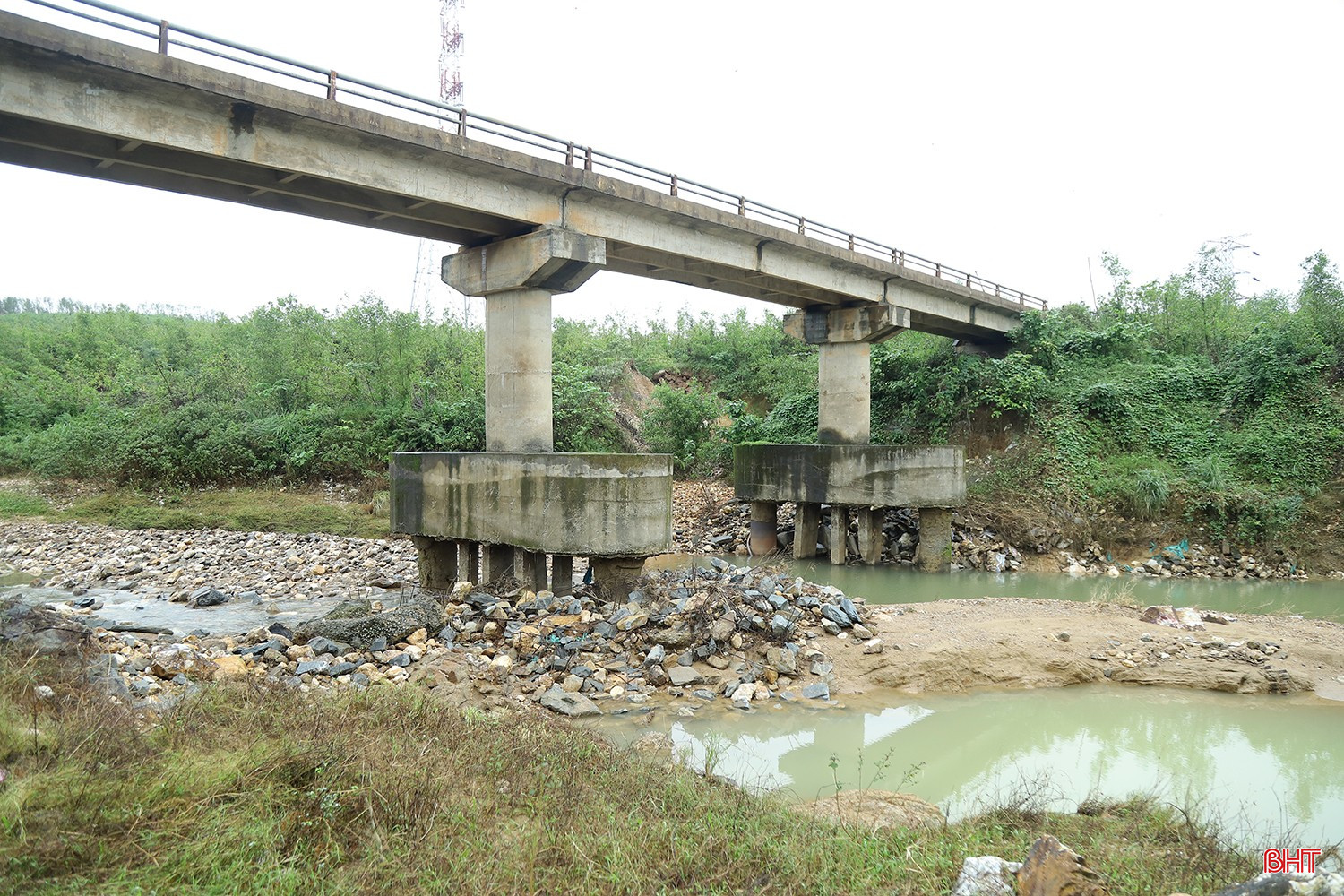 bqbht_br_cau-con-gao-1.jpg