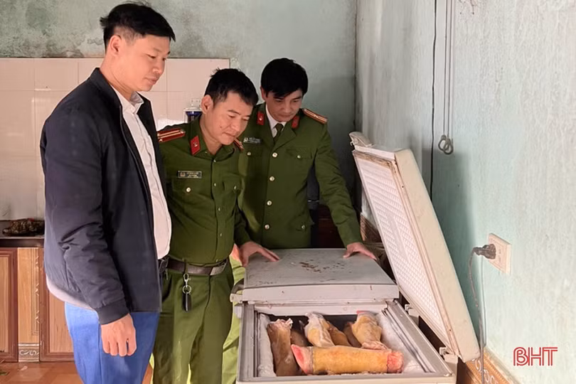 Phát hiện 225kg sản phẩm động vật đông lạnh không đảm bảo vệ sinh