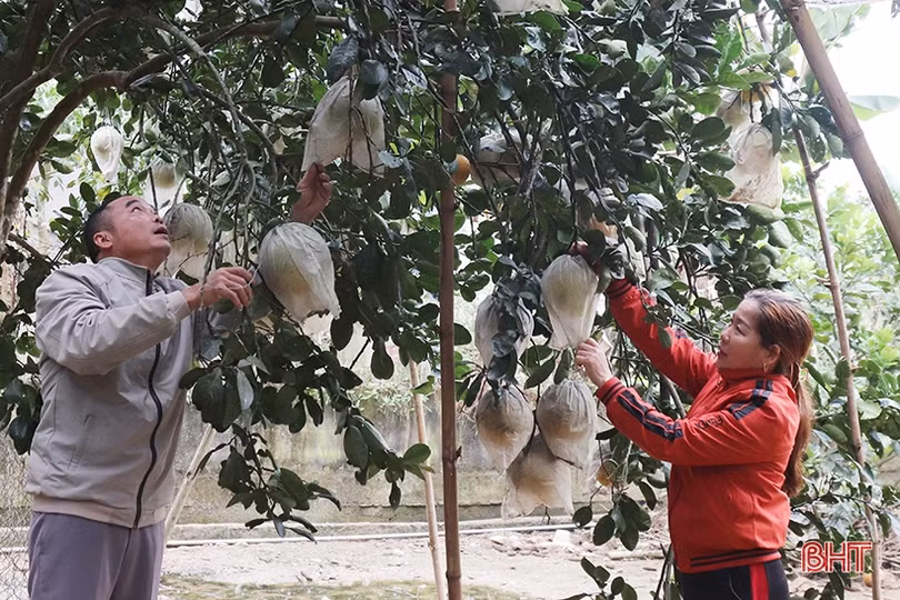 Chuyện những giáo dân sống “tốt đời, đẹp đạo” ở Hà Tĩnh