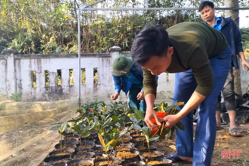 Tuổi trẻ Vũ Quang thực hiện nhiều phần việc ý nghĩa chào đón năm mới 