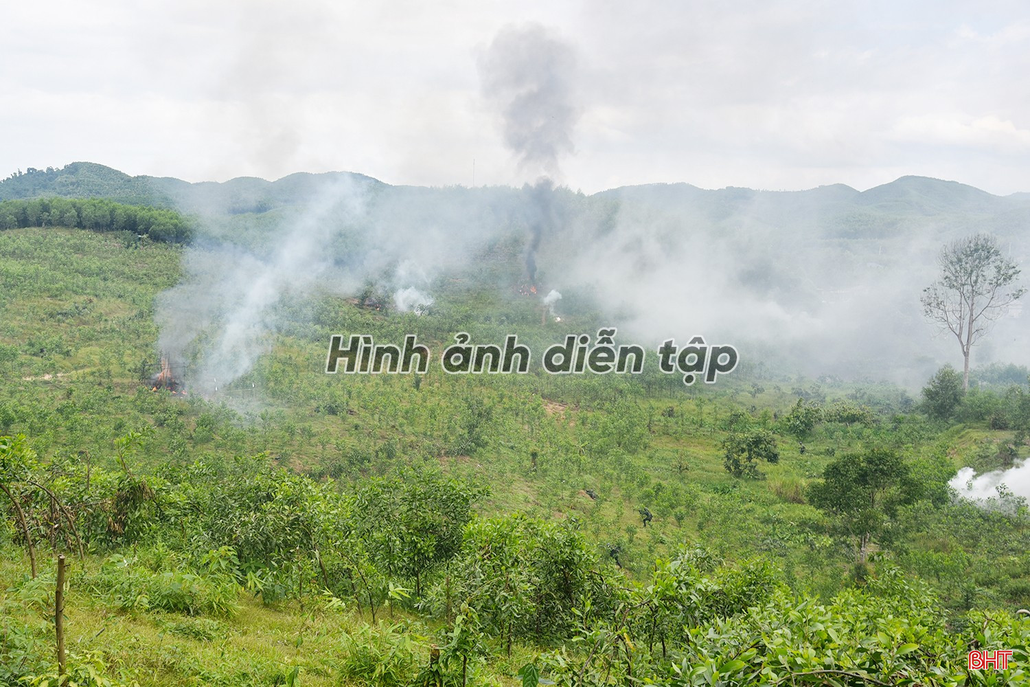 bqbht_br_anh-2071.jpg