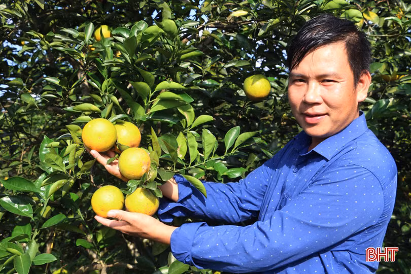 Cán bộ thôn góp phần đưa xóm núi ở Vũ Quang trở thành khu dân cư kiểu mẫu