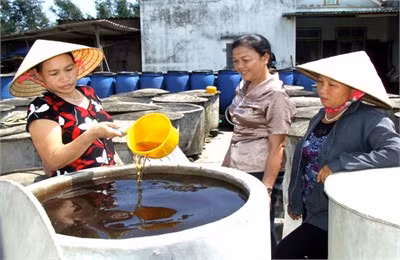 Xưởng sản xuất nước mắm của chị Nguyễn Thị Ninh (bên trái), mỗi năm tiêu thụ từ 70-90 tấn cá nguyên liệu