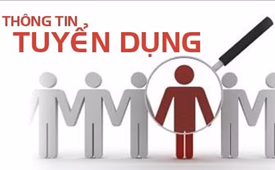Nộp hồ sơ tuyển 59 chỉ tiêu vào các cơ quan Đảng, MTTQ, tổ chức CT-XH Hà Tĩnh từ 22/10 - 22/11/2021