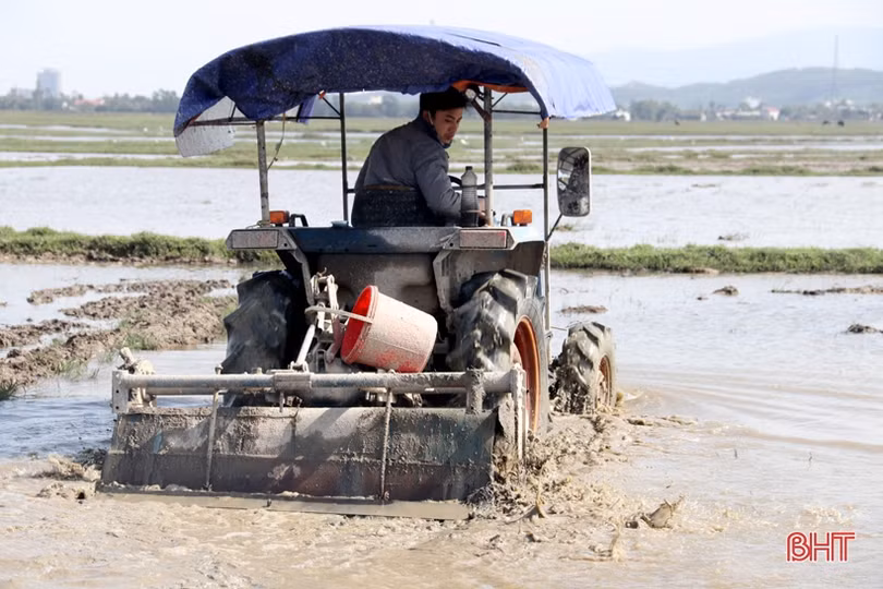 Nắng lên, nông dân Hà Tĩnh tất bật xuống đồng triển khai vụ xuân